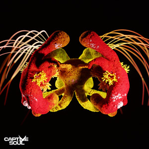 Don't Call Me (Extended Mix)