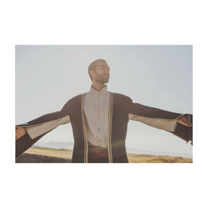 Թևեր