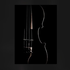 寂静之曲纯音乐