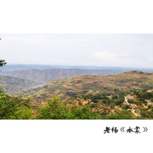衣裳