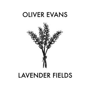 Lavender Fields