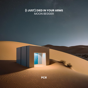 (I Just) Died In Your Arms (Afro House)