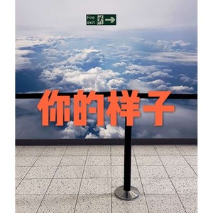 你的样子 (高潮版)