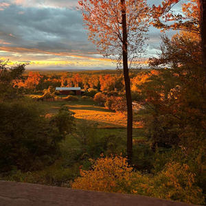 Central Park Memories