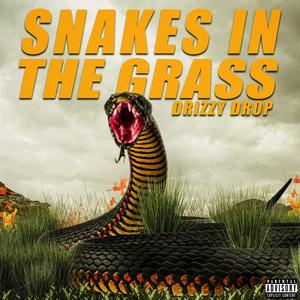 Snakes in the Grass (Explicit)