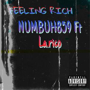 Numbuh 859 Feeling Rich (feat. La.rico) (Explicit)