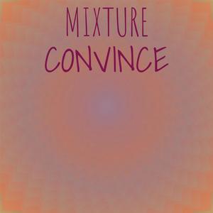 Mixture Convince