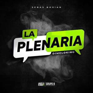 Dimeloking - La Plenaria
