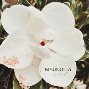 Magnolia