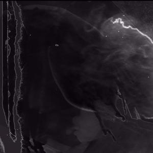 Tik N Tok (Explicit)