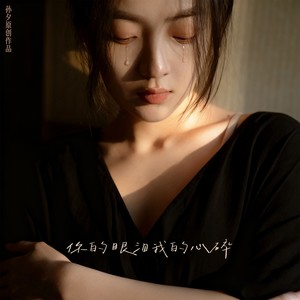 你的眼泪我的心碎 (Demo)