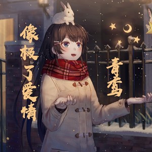 像极了爱情空拍