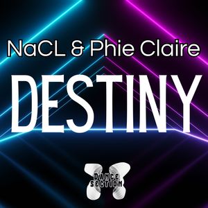 Destiny (Extended Mix)