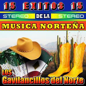 Exitos de la Música Norteña, Vol. 1