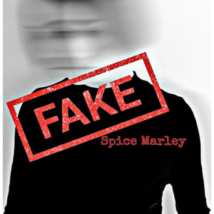 fake (explicit)