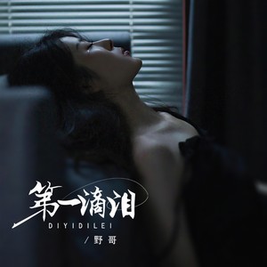 第一滴泪 (野哥版)封面