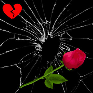 Love Who I Am (Explicit)