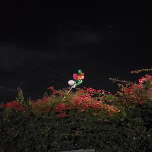 Stop Being Wrong (Explicit)