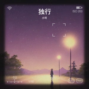 独行 (纯音乐)