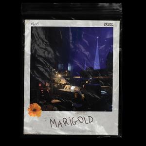 MARIGOLD (Explicit)