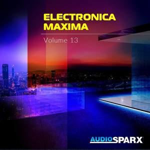 Electronica Maxima Volume 13