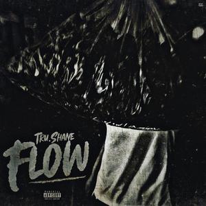 Flow (Explicit)