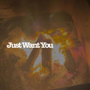 Just Want You