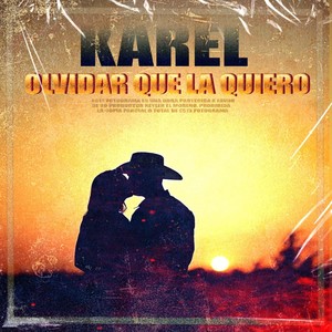 Olvidar Que la Quiero