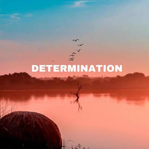 Determination(feat. B. Rose)