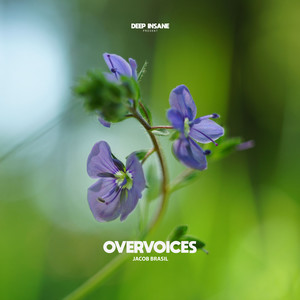 Overvoices (Radio Edit)