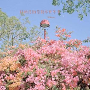 我说我很想你 你说总会忘记