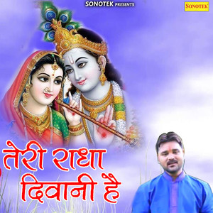 Teri Radha Diwani Hai - Single