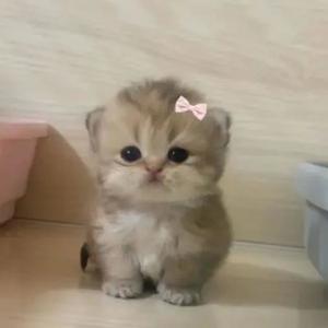 *u and me* (Explicit)