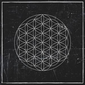 Flower Of Life