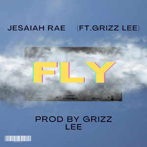 FLY (Explicit)
