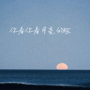 你看你看月亮的脸 (心碎女版)