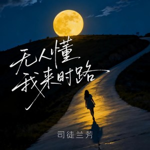 无人懂我来时路