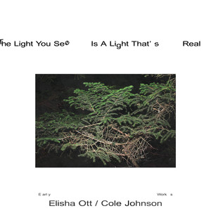 The Light You See Is A Light That's Real - Early Works