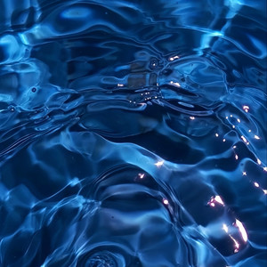 天下有情人终成眷属