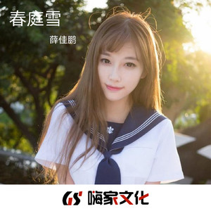 别怕我伤心 (DJ版)