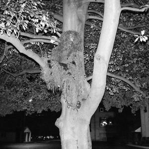 night's eve. (feat. Nise the Nymph) (Explicit)