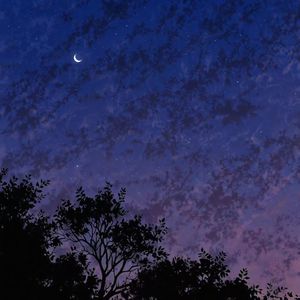 Rodeo (氛围纯享版)