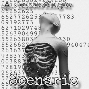 Scenario