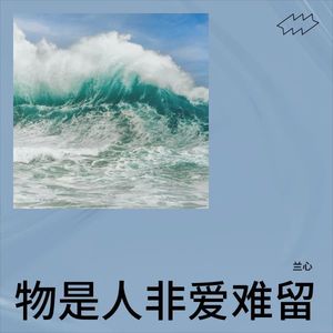 物是人非爱难留 (伴奏)