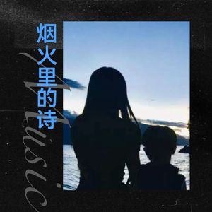烟火里的诗封面
