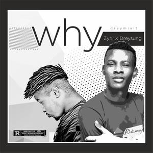 Why (feat. Dreysungz)