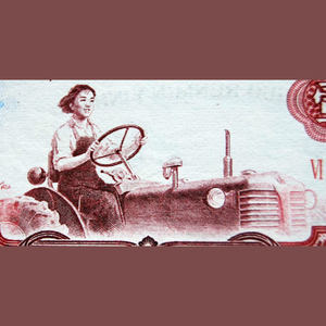 我是一条单身狗