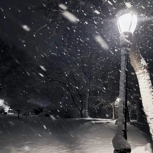 一千年以后 (因为在一千年以后)