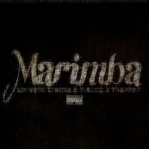 MARIMBA (feat. Flacco_SA & Thapzen_Zen) [Special Version] [Explicit]