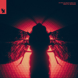 Moth Song (Extended Mix)